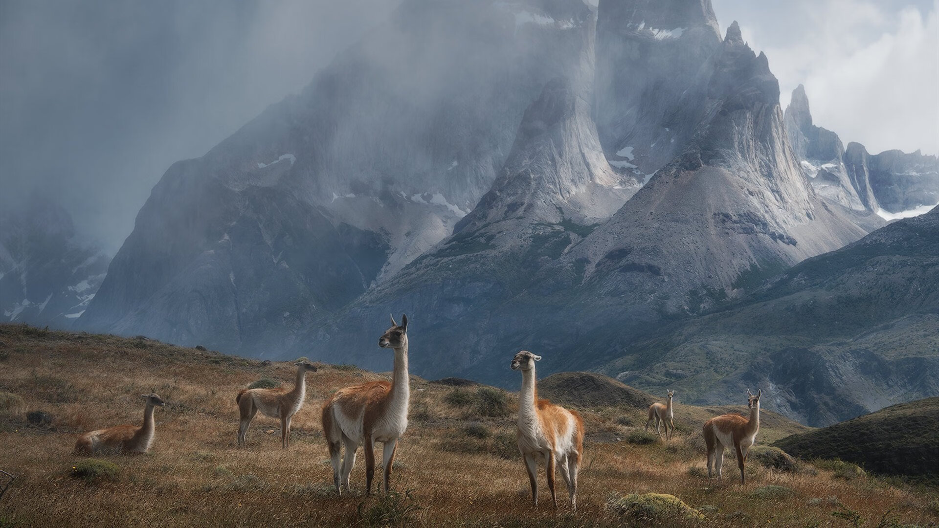 华体会官网-那个不存在的阿劳霍，正在定义伟大