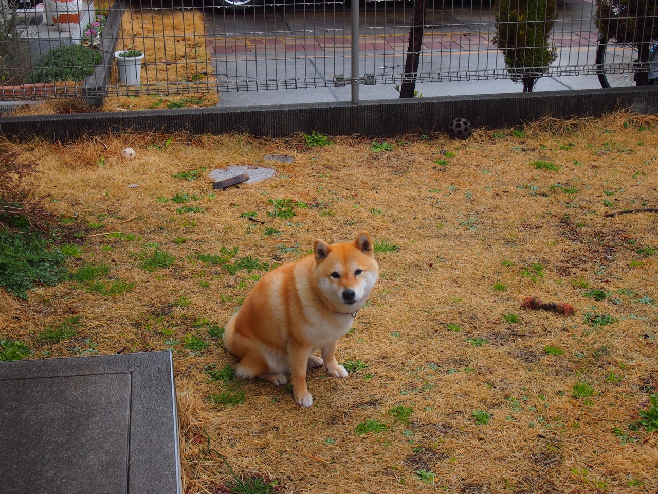 绿茵上的加时绝杀，当意甲焦点战遇见雷霆意志