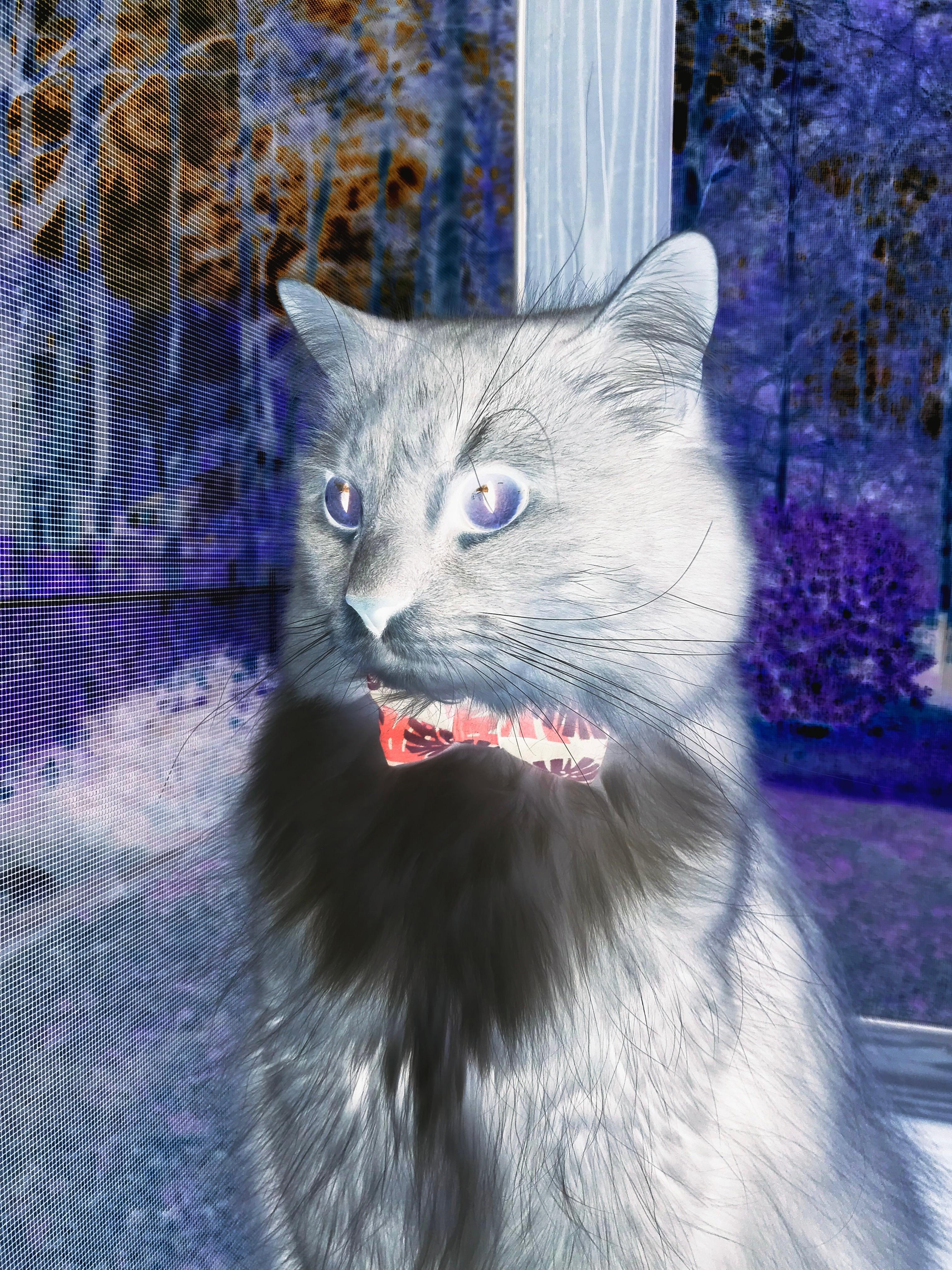 密尔沃基的征服者，当世界排名在利拉德的指尖燃烧