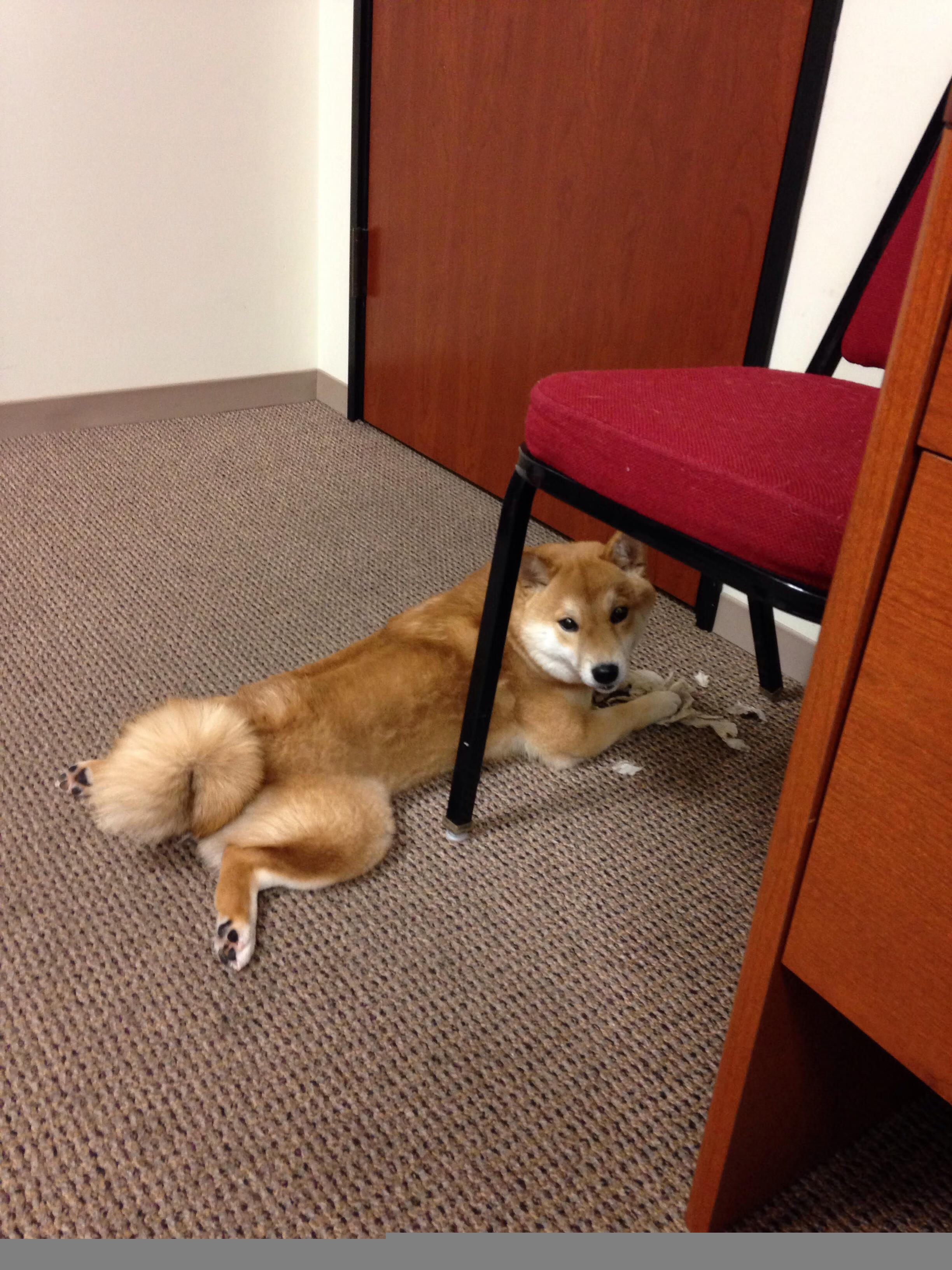 星际碰撞,广东队如何在这场宇宙级焦点战中击溃开拓者