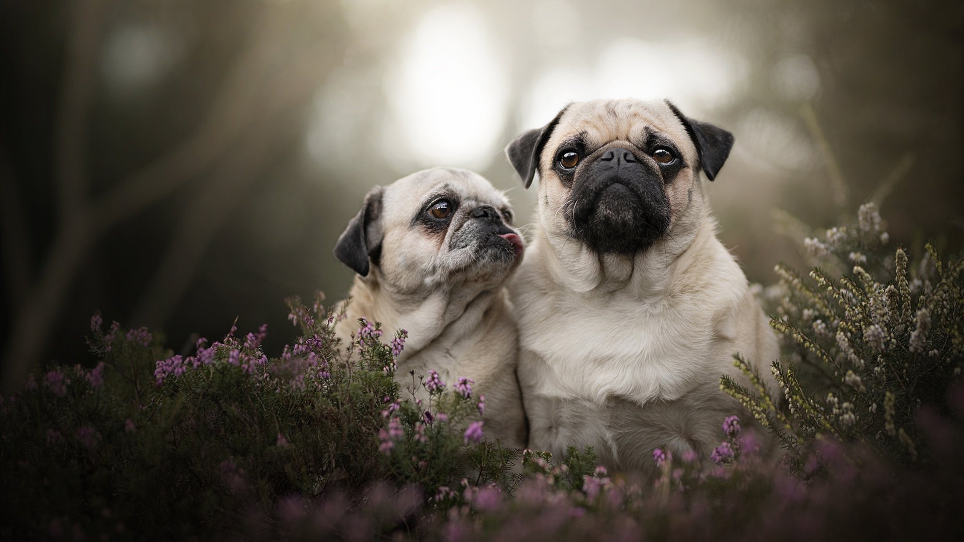 隔空交手，法比尼奥的精密齿轮如何与巴萨的加时火焰隔空对话